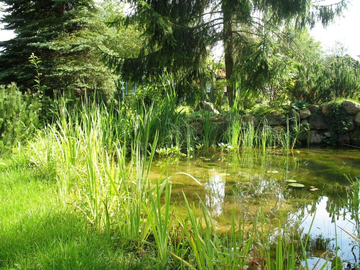 Osrodek Szeligi Hotel Elk Bagian luar foto