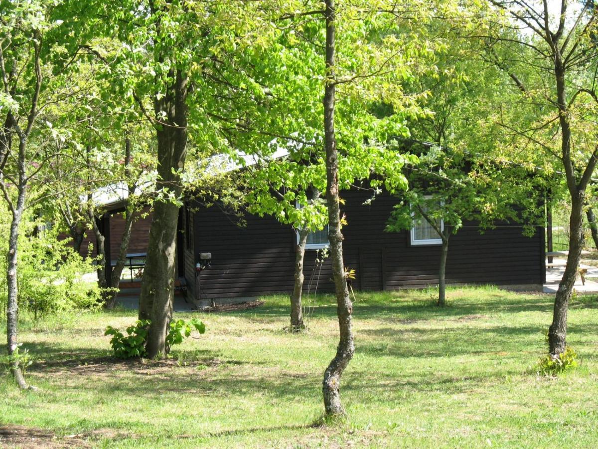 Osrodek Szeligi Hotel Elk Bagian luar foto